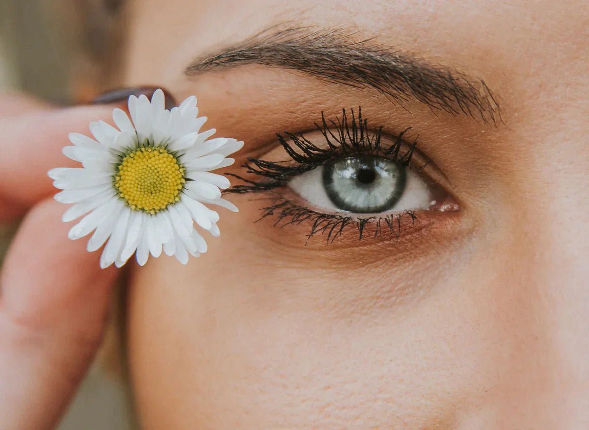 Eyes - Allure Society