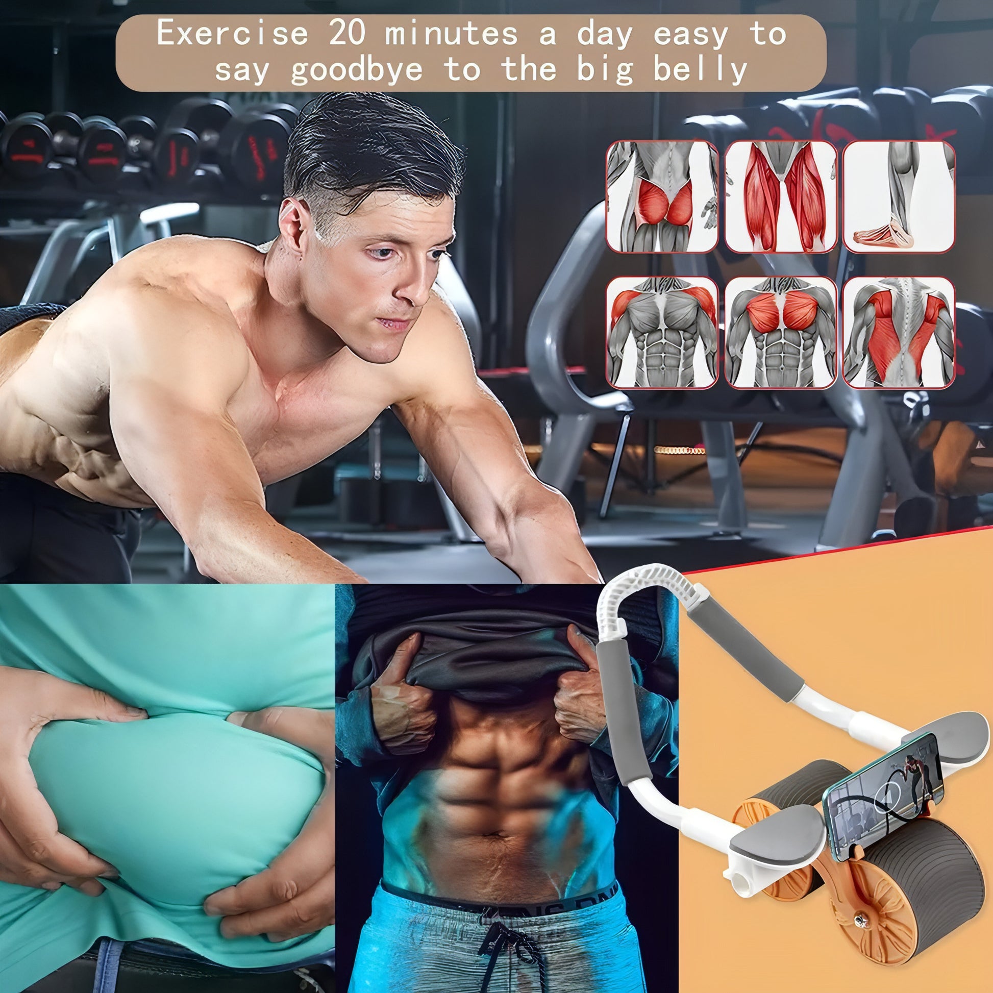 Exercise Wheel Silence Abdominal - Allure SocietyFitness Equipment